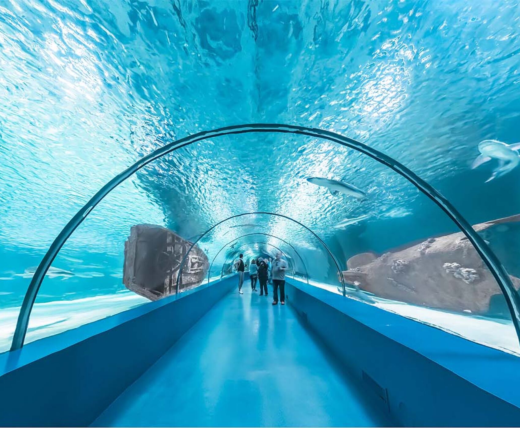 ANTALYA AQUARIUM