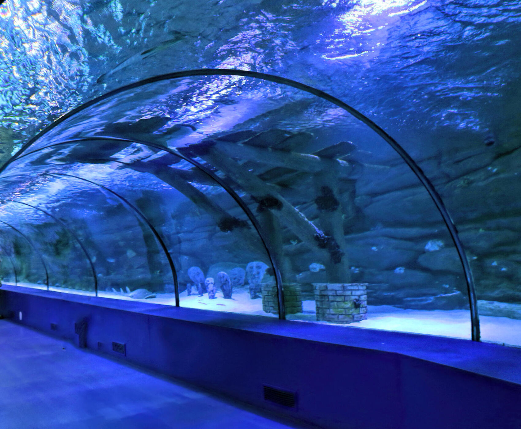 ANTALYA AQUARIUM