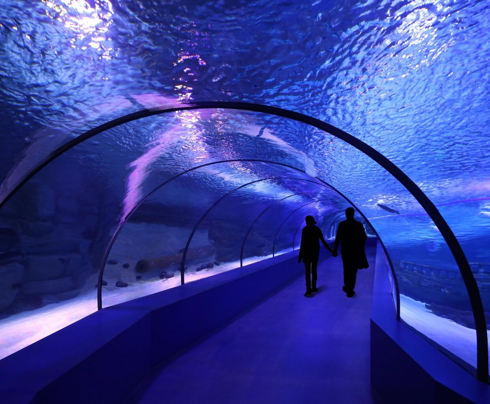 ANTALYA AQUARIUM