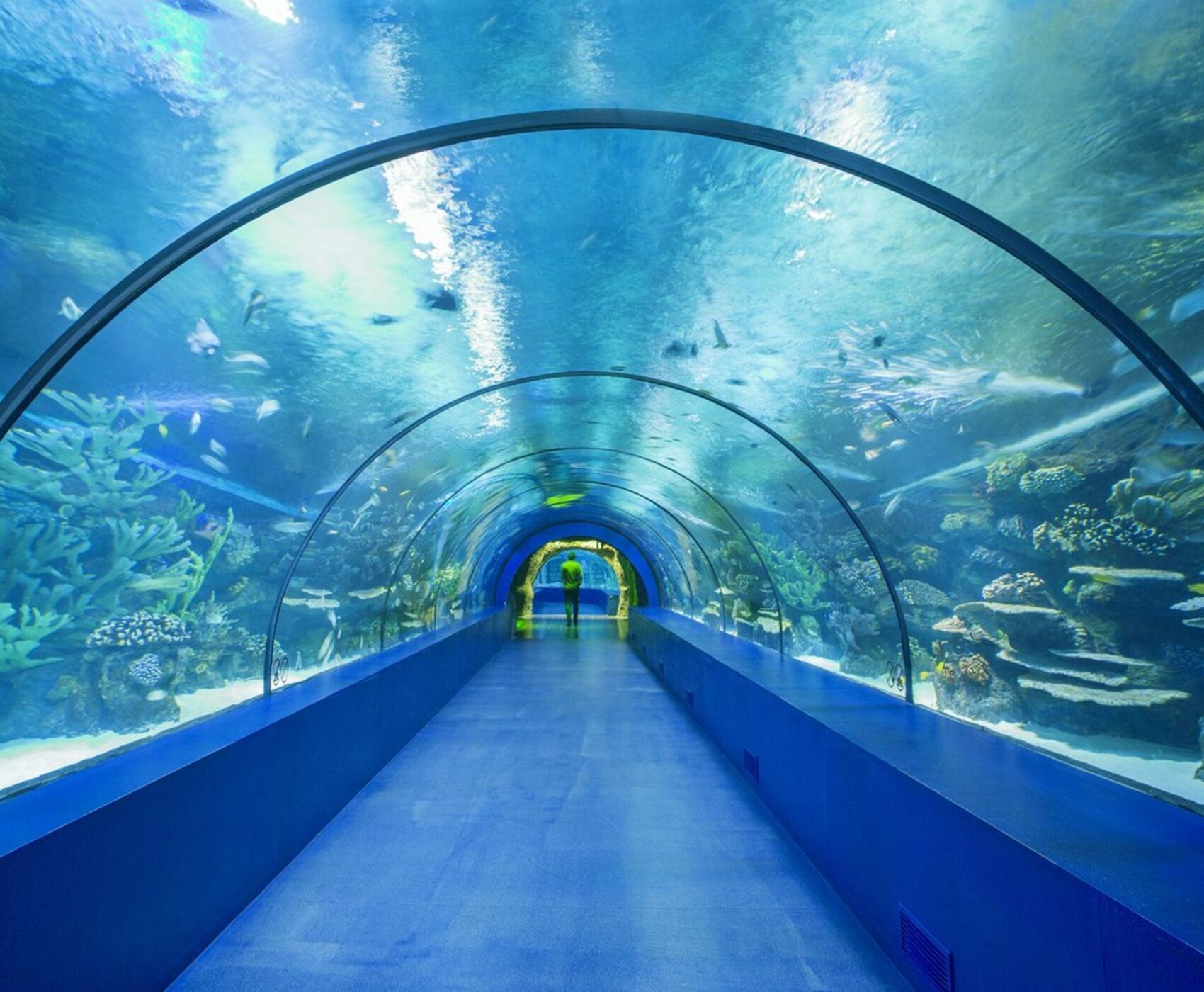 ANTALYA AQUARIUM