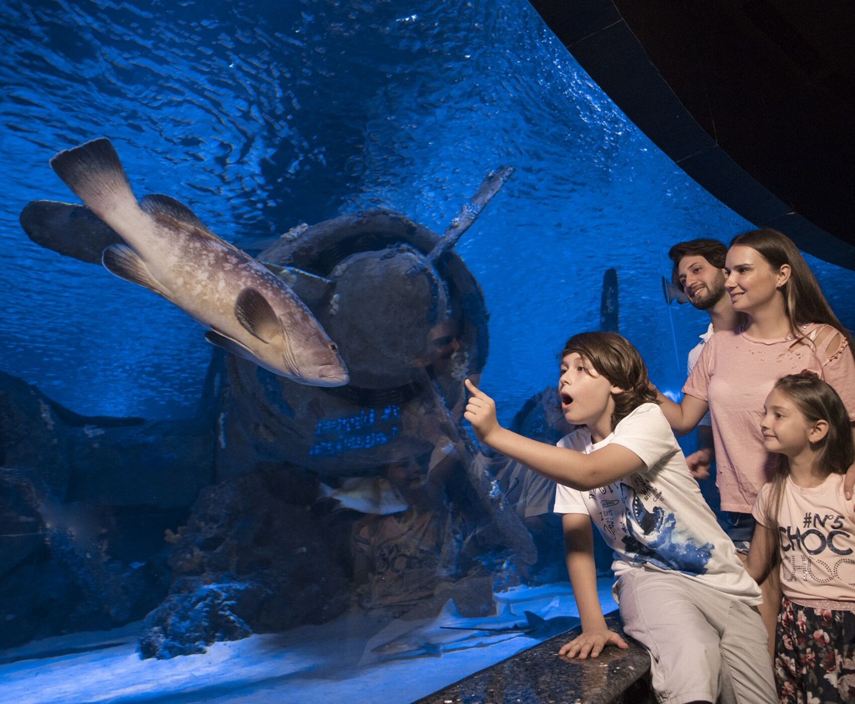 ANTALYA AQUARIUM