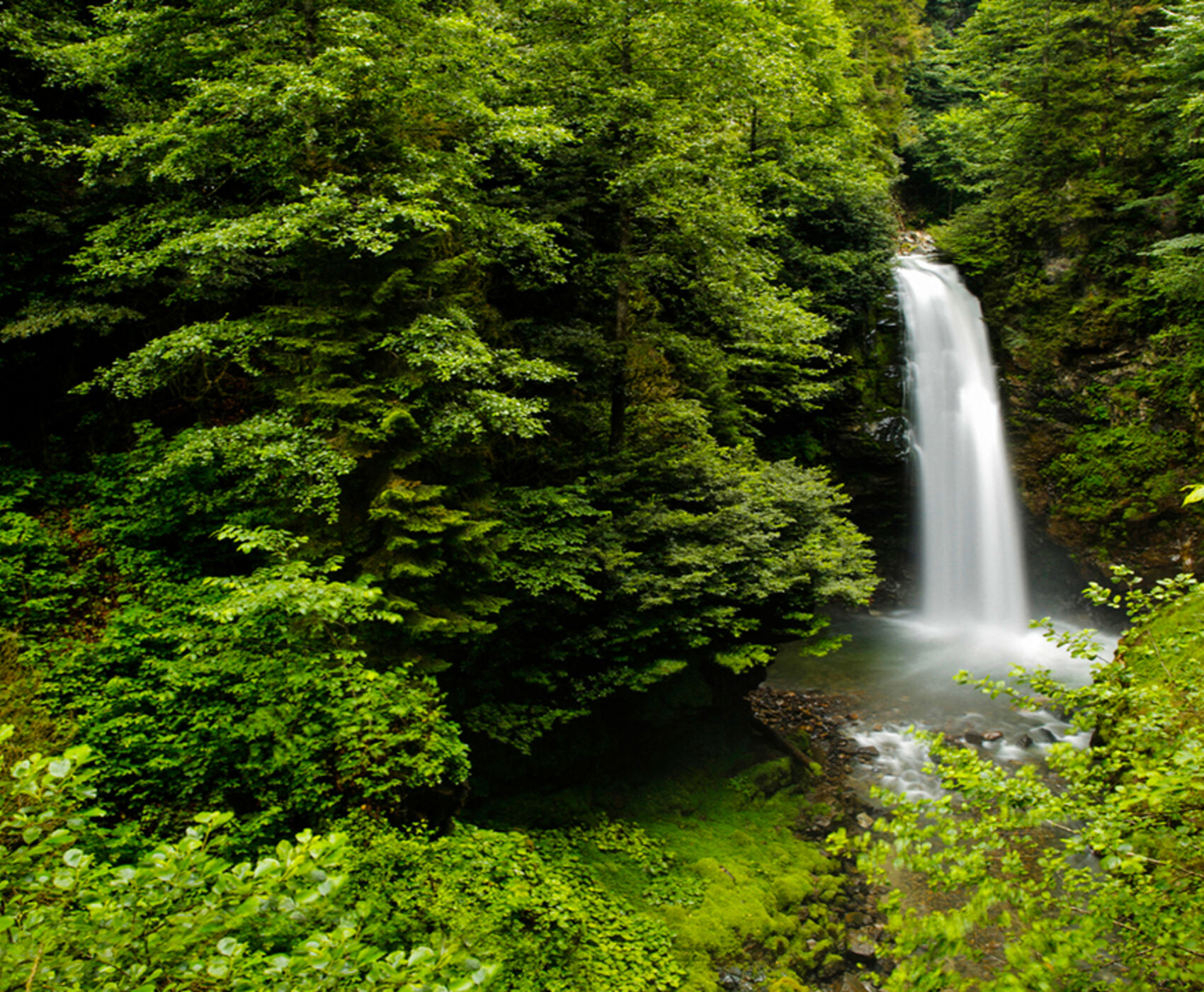 BOUTIQUE BLACKSEA TOUR ( UZUNGÖL AND AYDER PLATEAU)