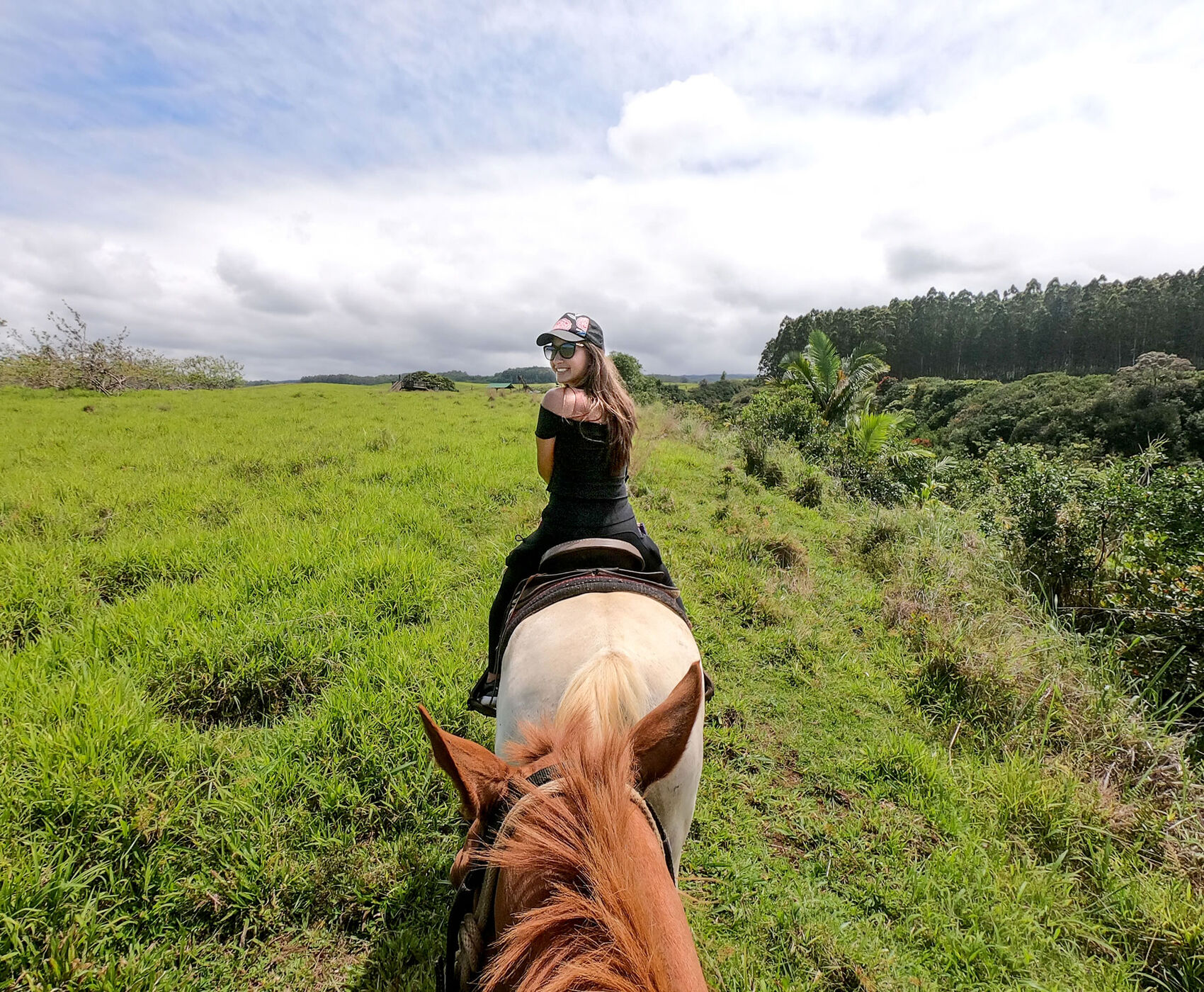 HORSE SAFARI