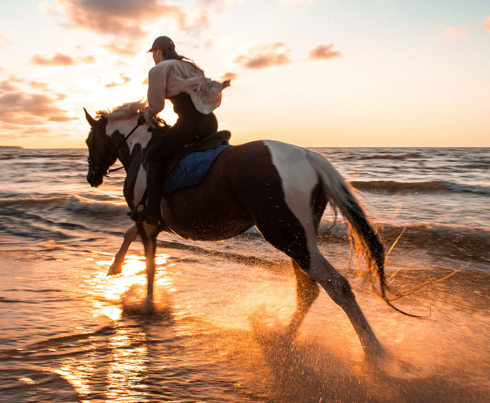 HORSE SAFARI