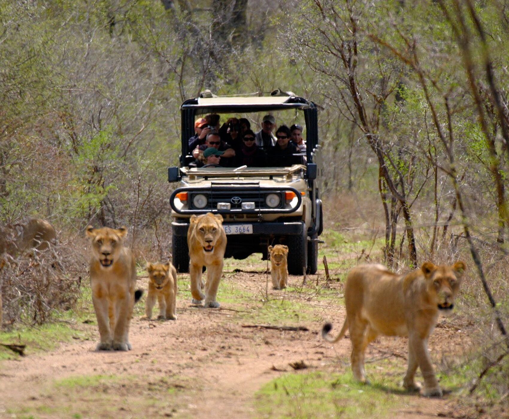 SOUTH AFRICA (VICTORIA WATERFALLS - ZAMBIA) TOUR BY FLIGHT