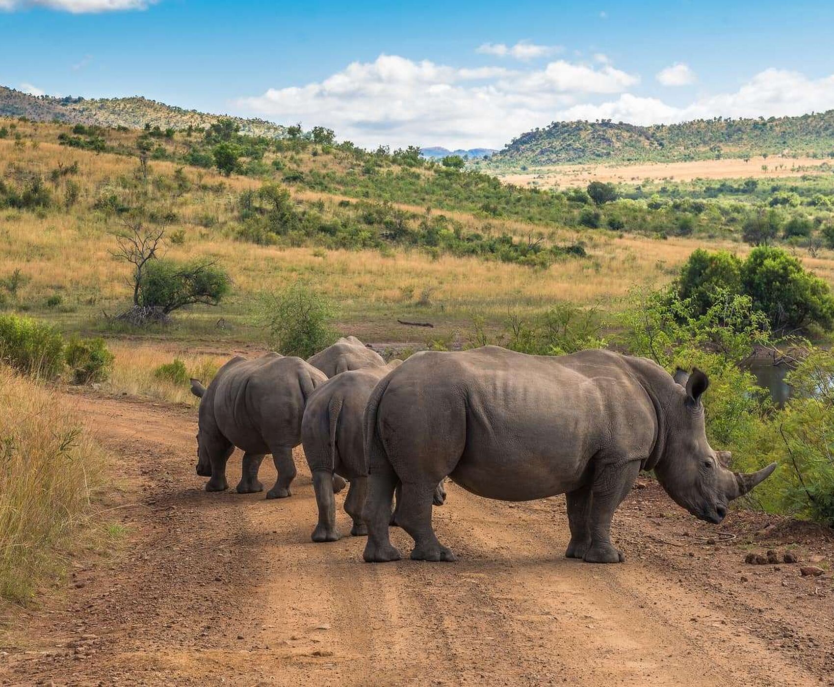 SOUTH AFRICA (VICTORIA WATERFALLS - ZAMBIA) TOUR BY FLIGHT