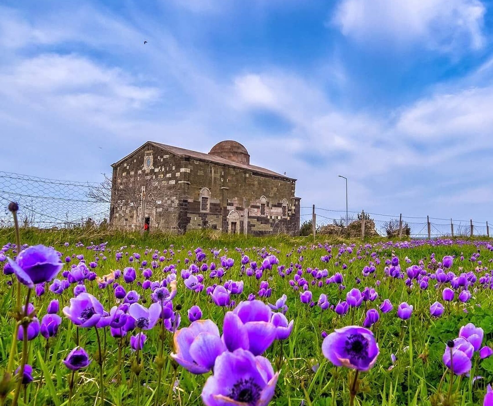 EASTERN BLACK SEA TOUR BY BUS