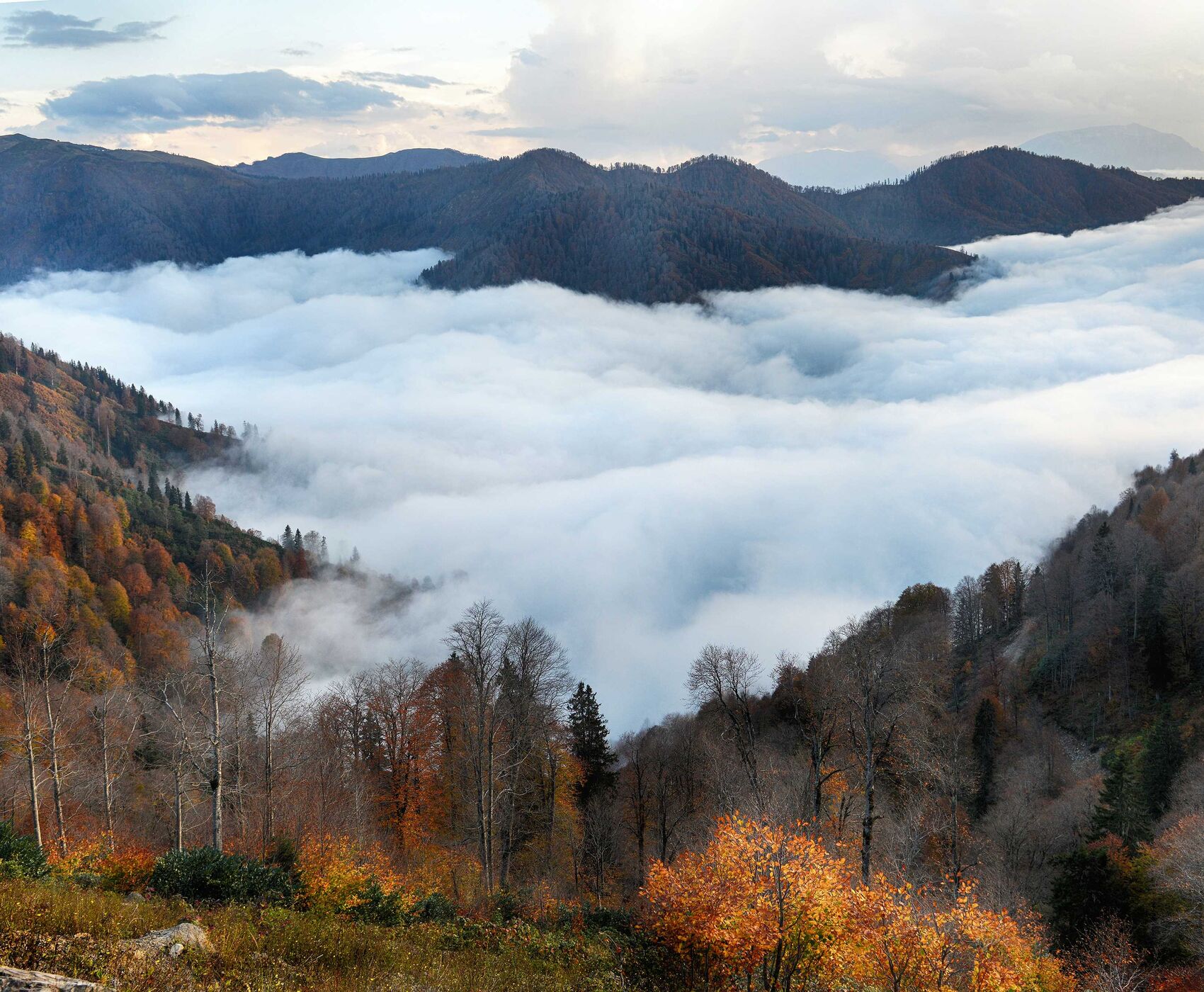 EASTERN BLACK SEA TOUR BY BUS