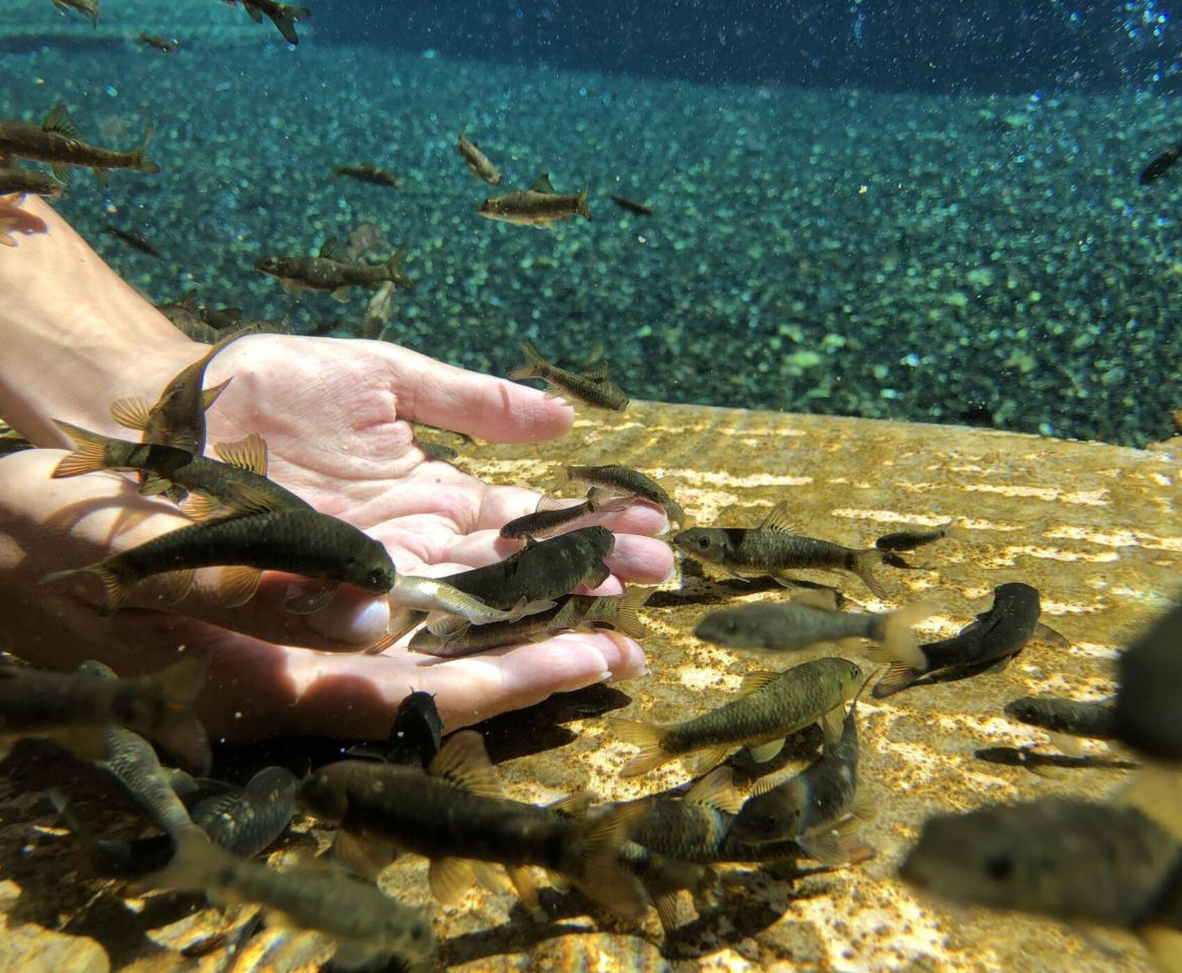 CENTRAL ANATOLIA AND DOCTOR FISHES TOUR BY PLANE