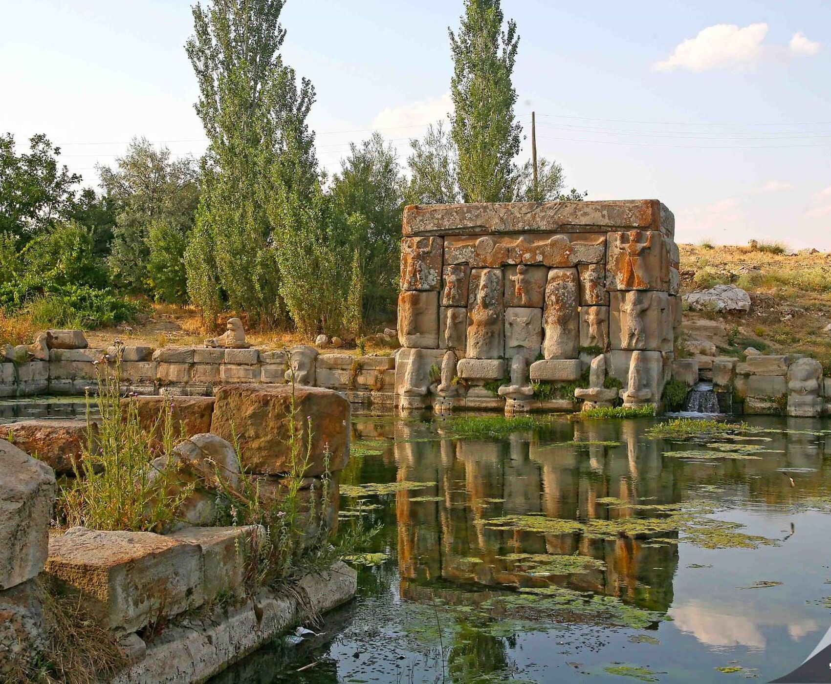 LAKES OF FLAMINGOS, STORKS AND PELICANS