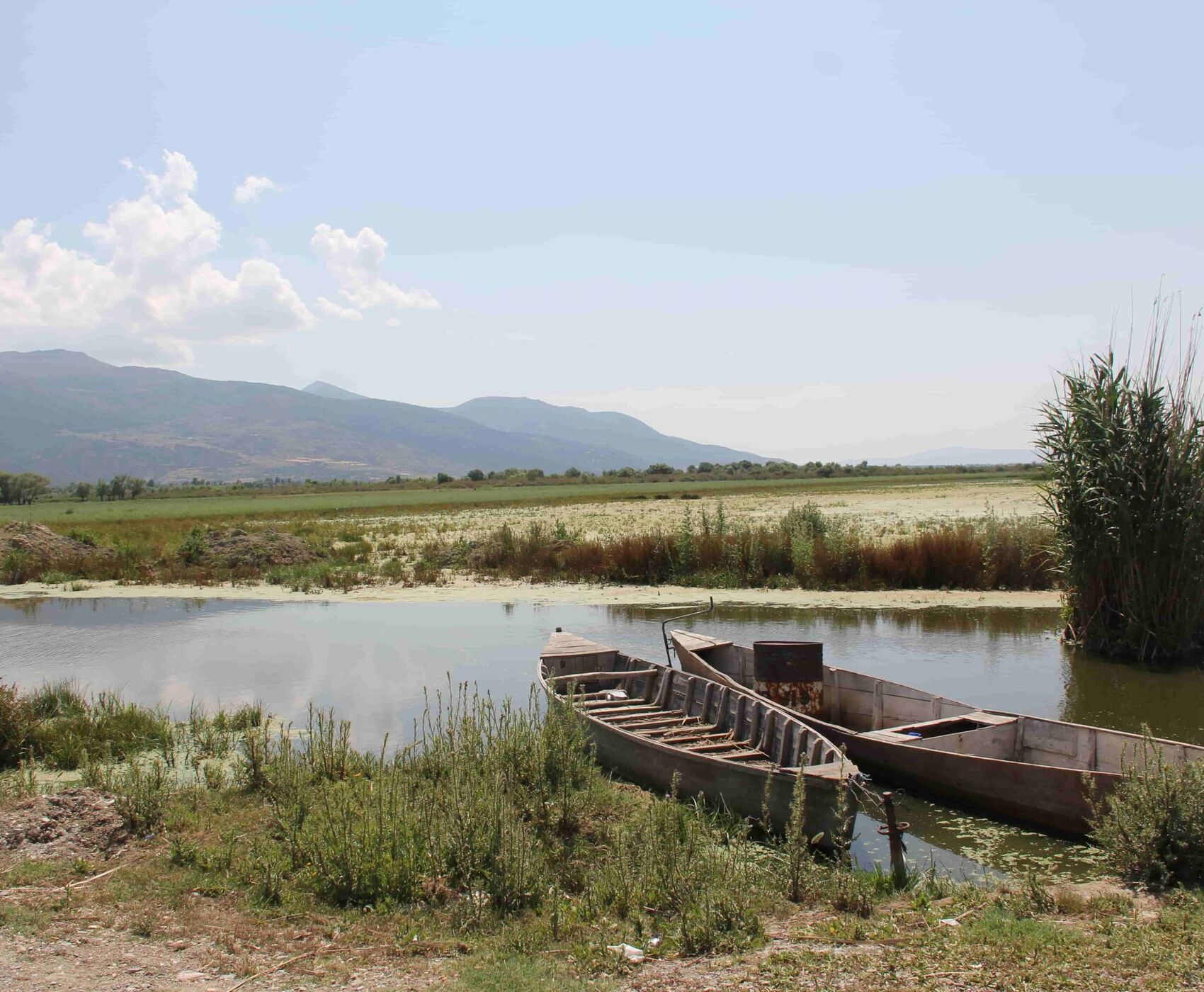 LAKES OF FLAMINGOS, STORKS AND PELICANS